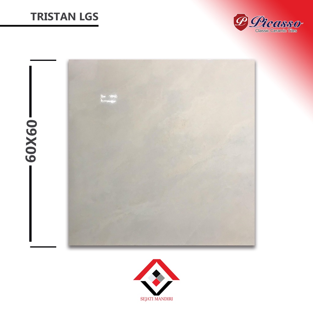 Keramik 60x60 - Motif Marmer - Picasso Tristan lgs