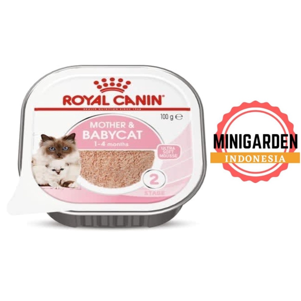 ROYAL CANIN WET MOTHER &amp; BABYCAT 195 Gram makanan kucing catfood wetfood induk dan anak baby cat 195GR