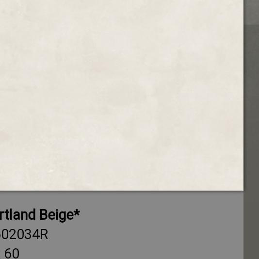 Granit Teras Roman dPortland Series Ukuran 60x60