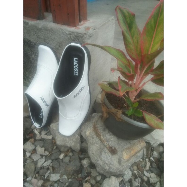 sendal sepatu  pria slop putih/bustong pria LACOSTE