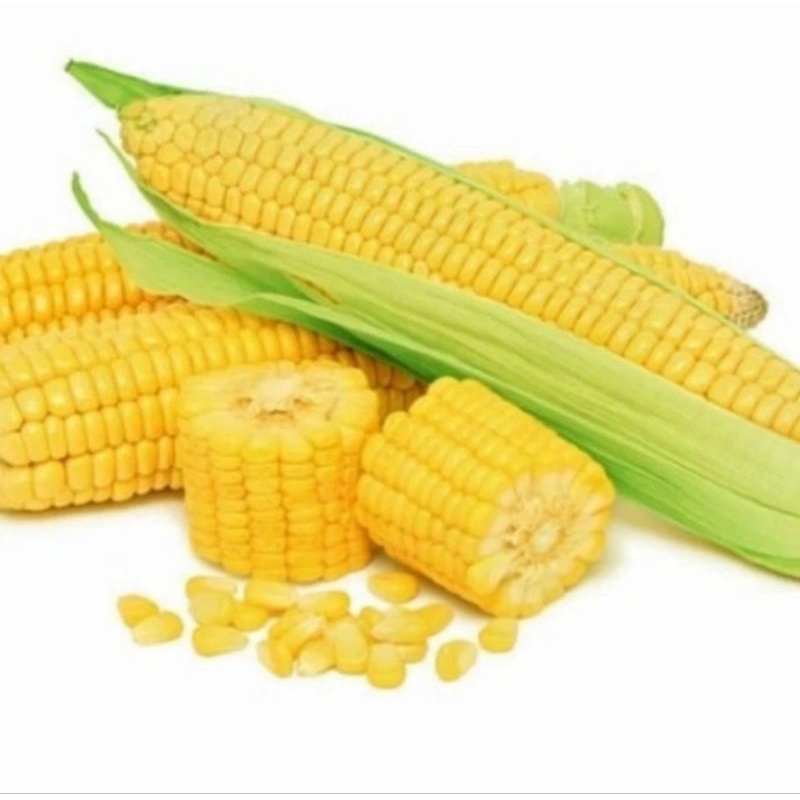

jagung / jagung manis 1pcs