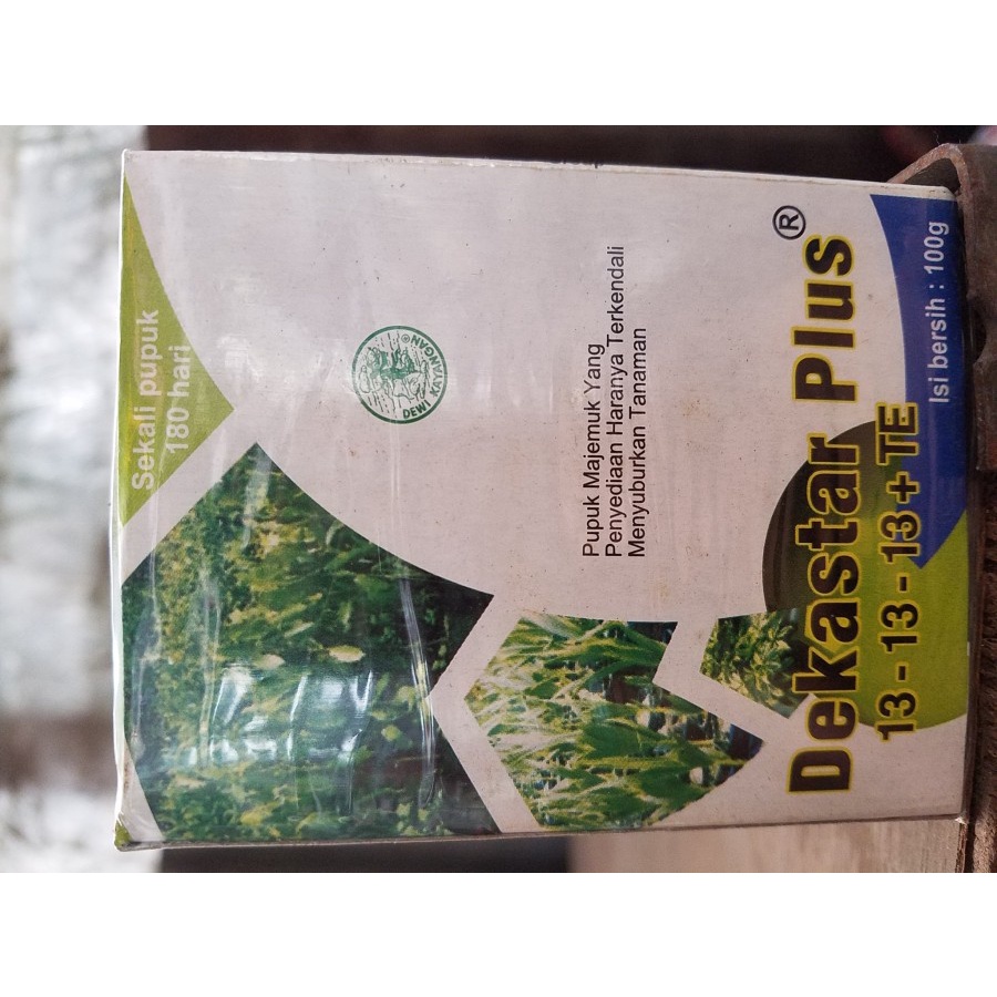DEKASTAR PLUS 13-13-13+TE 100Gram (osmocote)