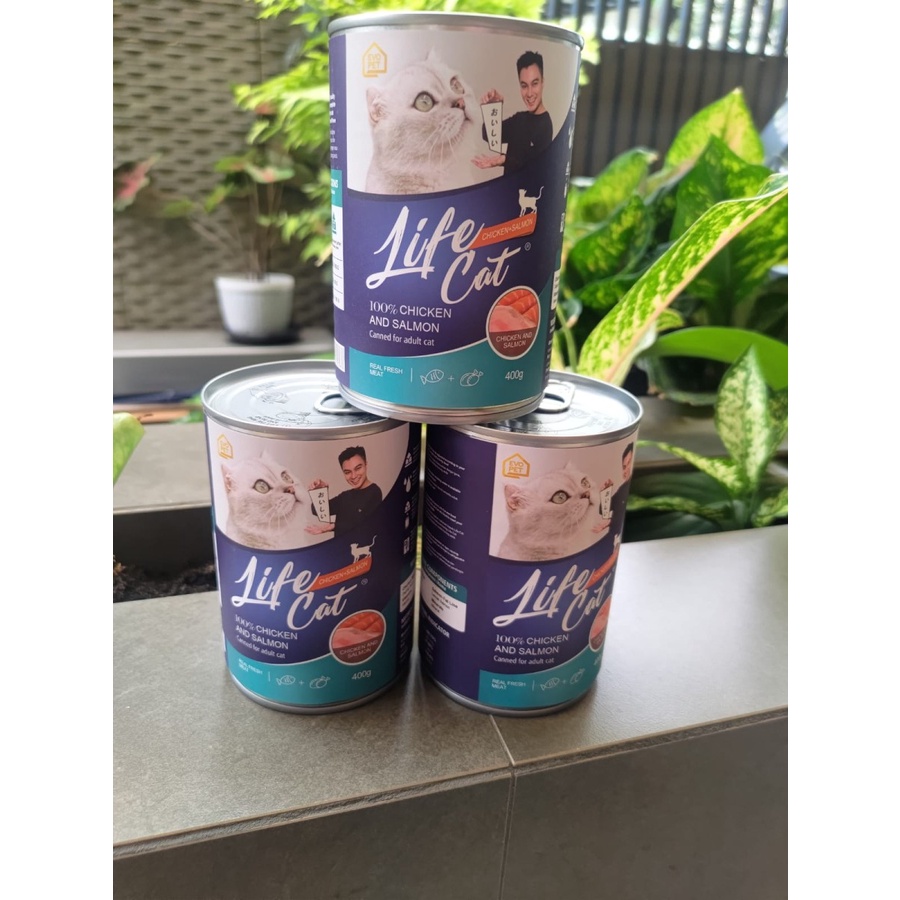 Life Cat Chicken Salmon Adult Cat Wet Food 400gr