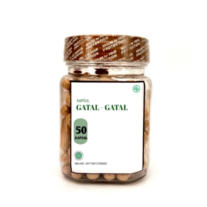 

Kapsul Herbal Peredah Gatal-Gatal Pada Kulit