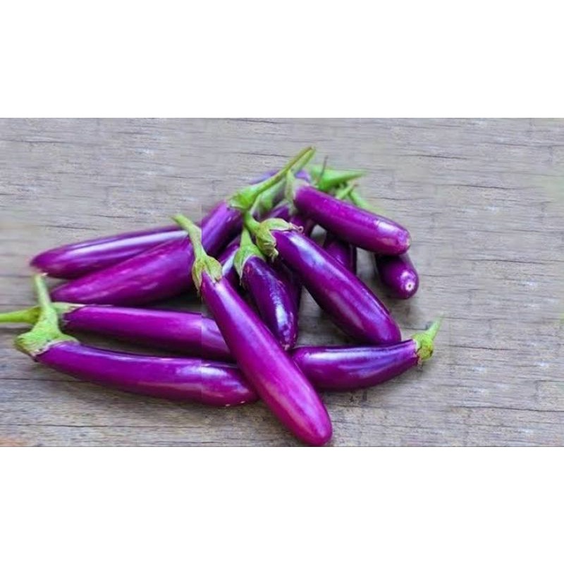 

Garansi.. Terong ungu ( 250g - 1000g )