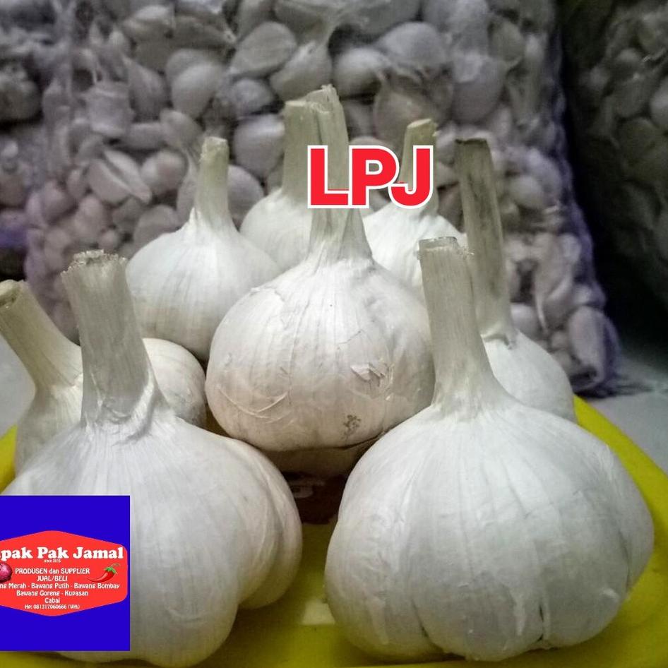 

ㄼ Bawang PUTIH KATING - 1 Kg - LPJ HOT ITEM 3981 ☽