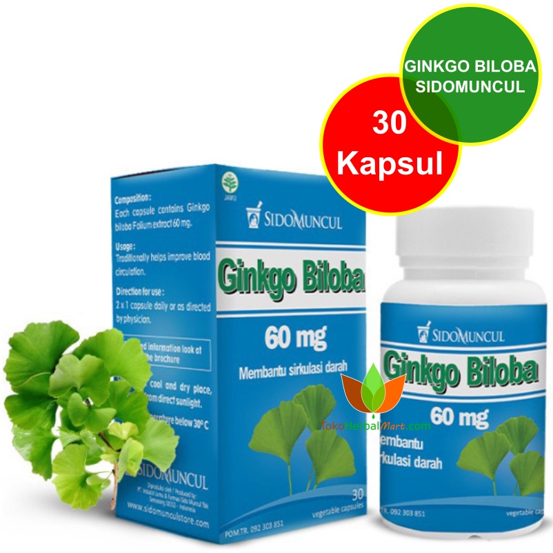 Jual 30 KAPSUL GINKGO BILOBA SIDOMUNCUL OBAT PELUPA SUPLEMEN HERBAL ...