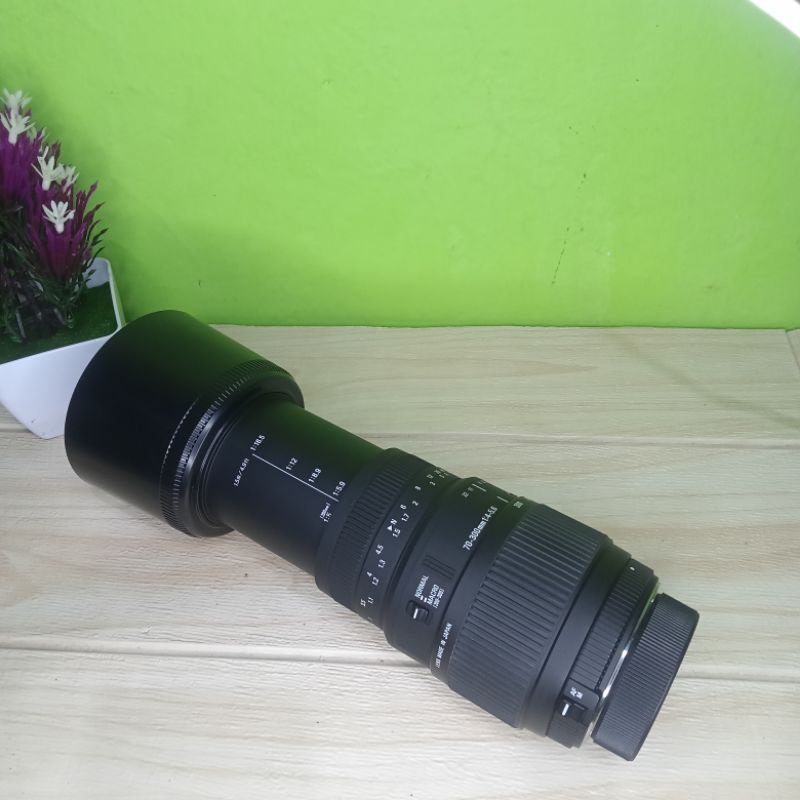 lensa sigma 70-300 for nikon