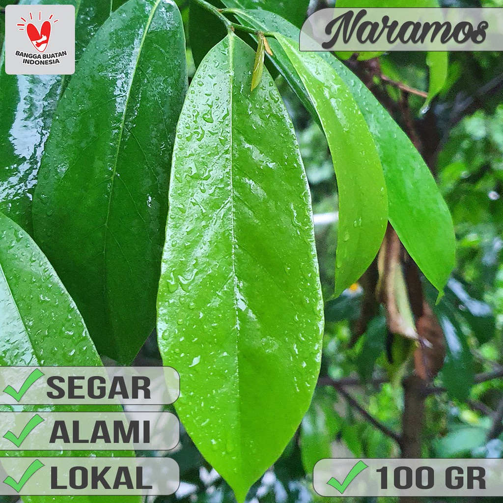 

Daun Sirsak Segar 100gr Herbal