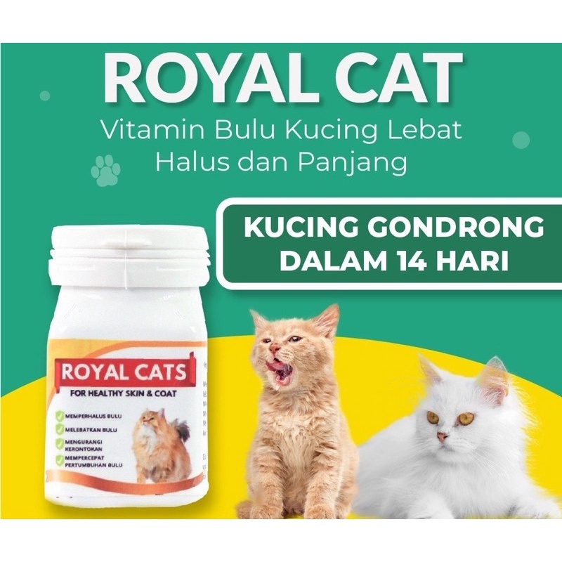 Royal Cats Healthy Skin and Coat Vitamin Bulu Gondrong dan Kulit Kucing