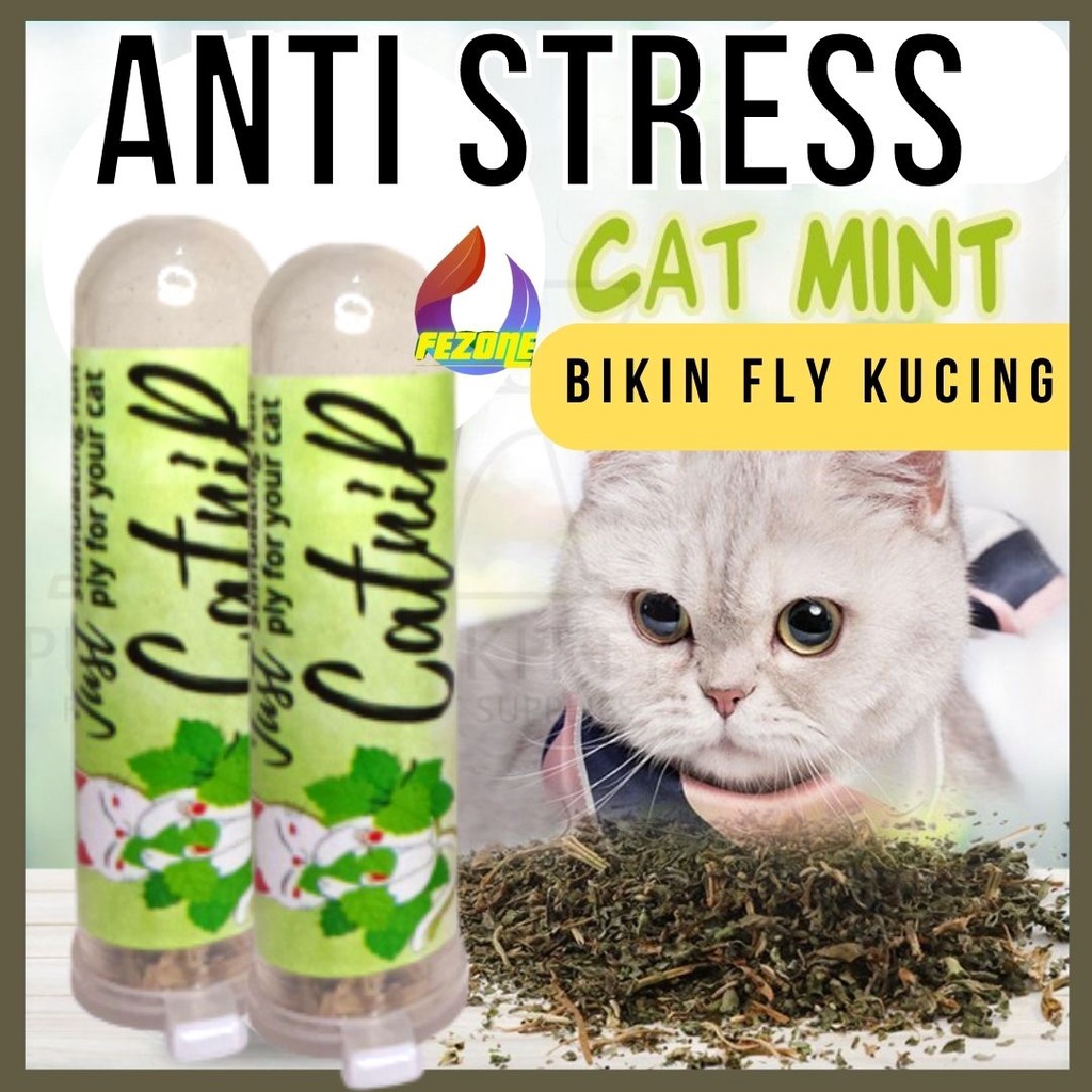 CATNIP BUBUK BOTOL Snack Kucing Makanan Serbuk Daun Cat Mint Powder FEZONE