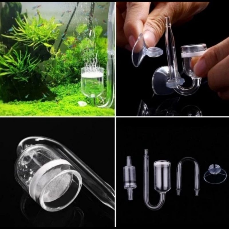 Diffuser Kaca Co2 Aquascape / Paket Difuser co2 Aquarium