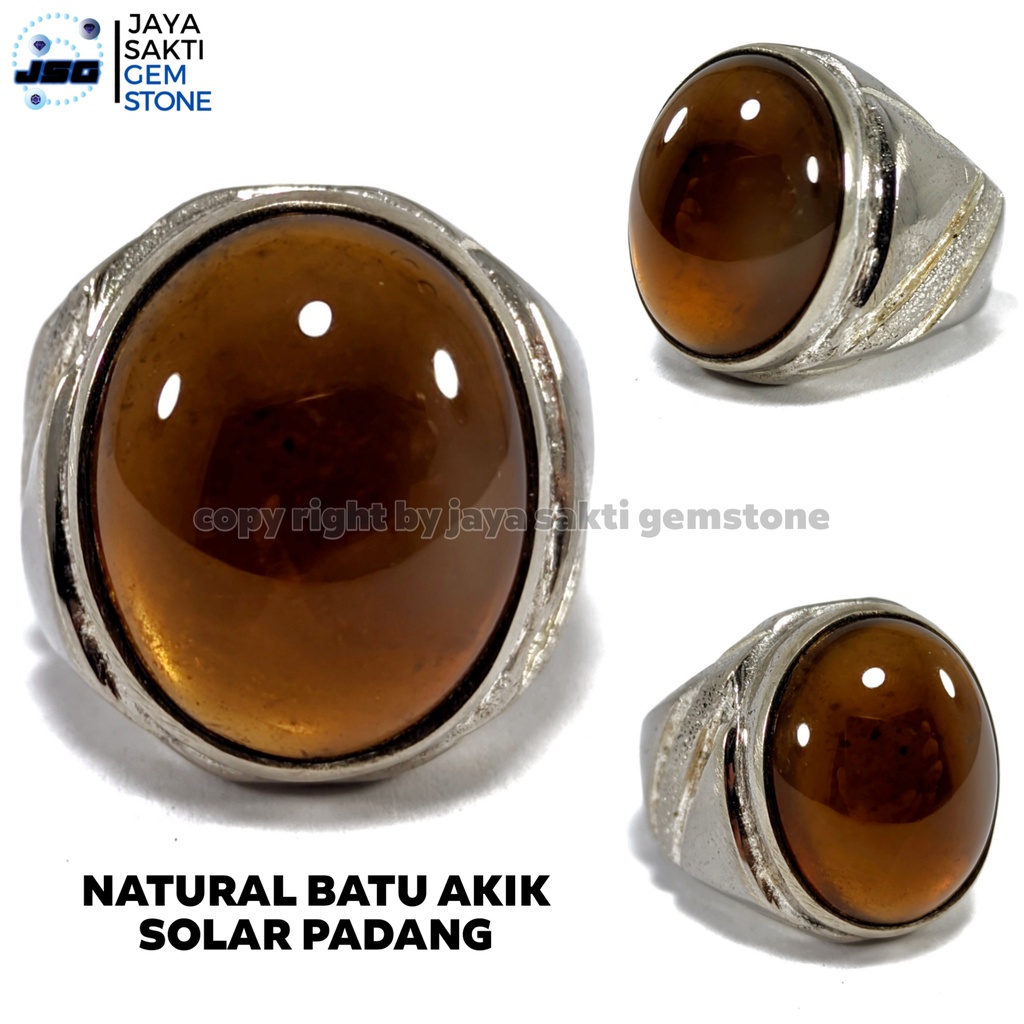 Natural Batu Akik Bio Solar kecoa Giwang SP01