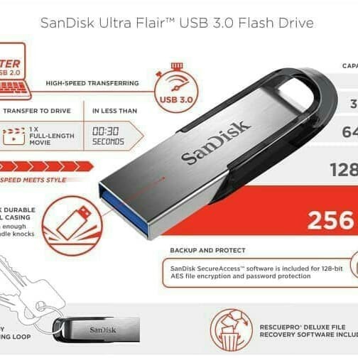 SANDISK USB 256GB Flair