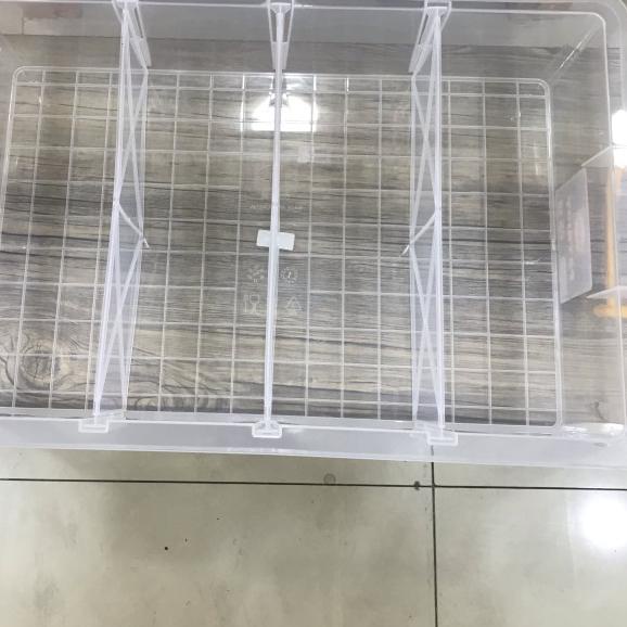 KANDANG KONTAINER SEKAT 4 GECKO SKINK PACMAN FROG SNAKE SULCATA ISTAR