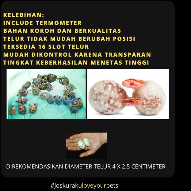 Inkubator Reptil Telur Incubator Egg Gecko Ular Kura Kadal Reptile Egg - Incubator saja