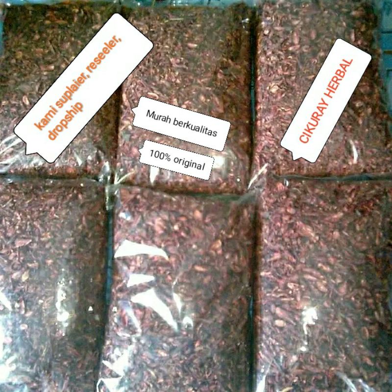 bawang dayak kering rajang 1kg bukan hasil budidaya asli hutan