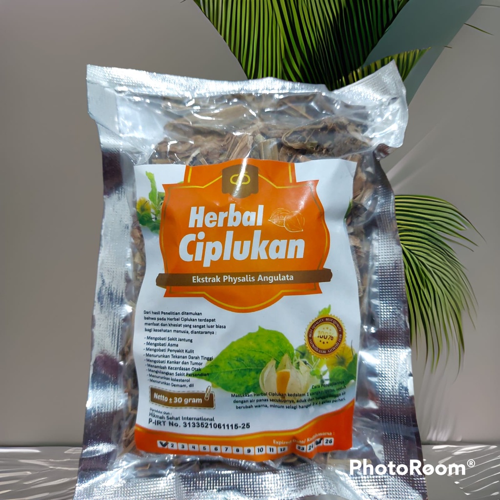 

Daun Ciplukan Hikmah Ekstrak physalis Angulata