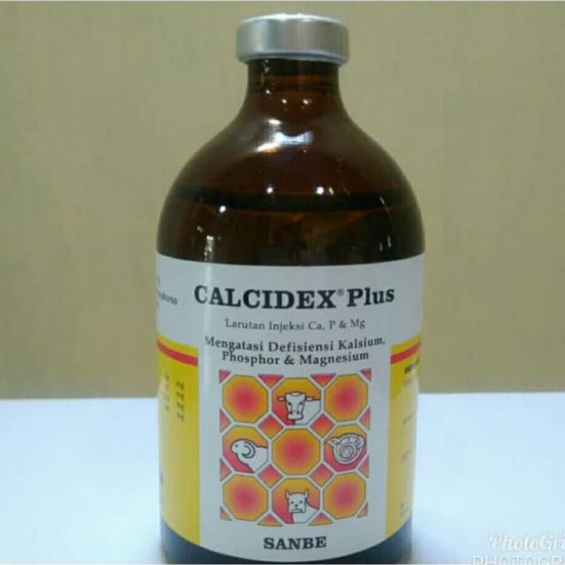CALCIDEX 100 ML // OBAT KAKI LUMPUH // SANBE