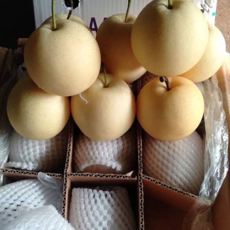 

buah pear
