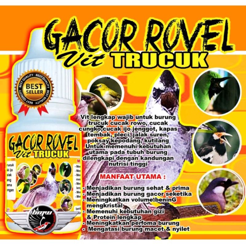 Vit GACOR ROVEL  TRUCUK