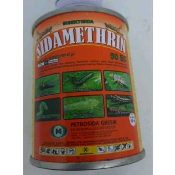 obat sidametrin pembasmi ulat,belalang,dan hama lainya
