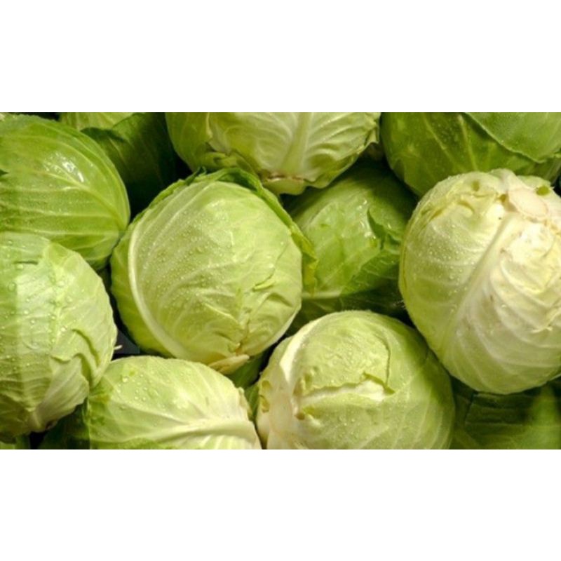 

KOLL FRES 500g