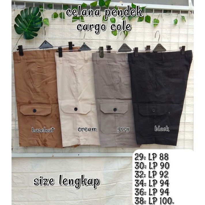 celana cargo cole