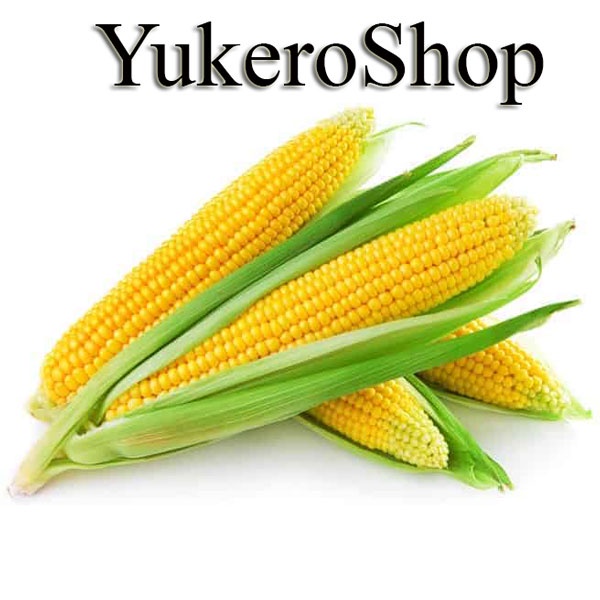 

Jagung Manis per 1 pcs