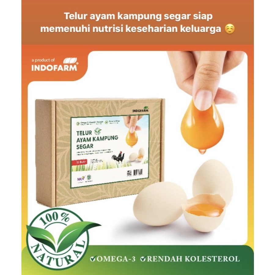 

LOLA Langsung Order Langsung Antar Telur Ayam KAMPUNG Organic Omega-3 Free Range Eggs INDOFARM 1 box 20 butir