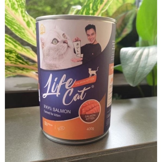 Life Cat Salmon Kitten Cat Wet Food 400gr