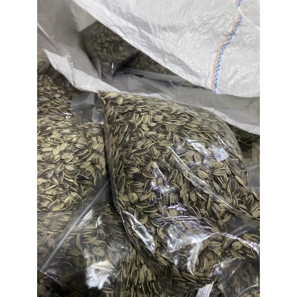 

KUACI BESAR 1KG SANGRAI KUACI JUMBO SANGRAI BIJI MATAHARI KUACI MATANG KUACI SANGRAI KUWACI SANGRAI