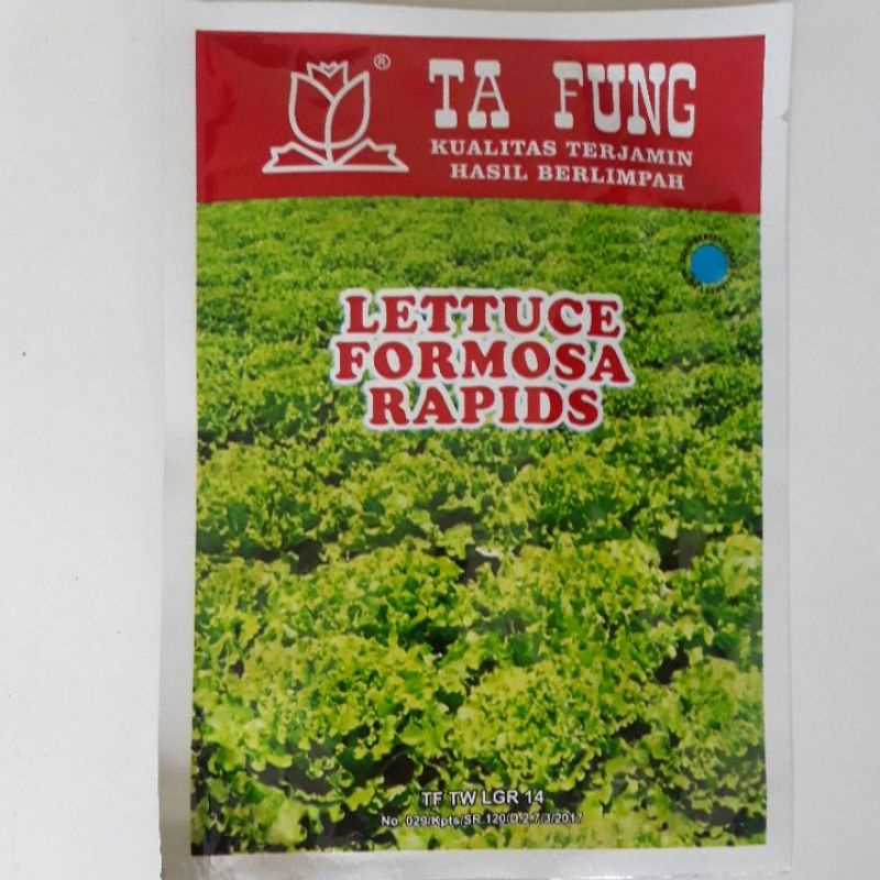 Selada keriting lettuce formosa rapids/lettuce grand rapids ta fung 10 gram 12000 biji. Expired okto