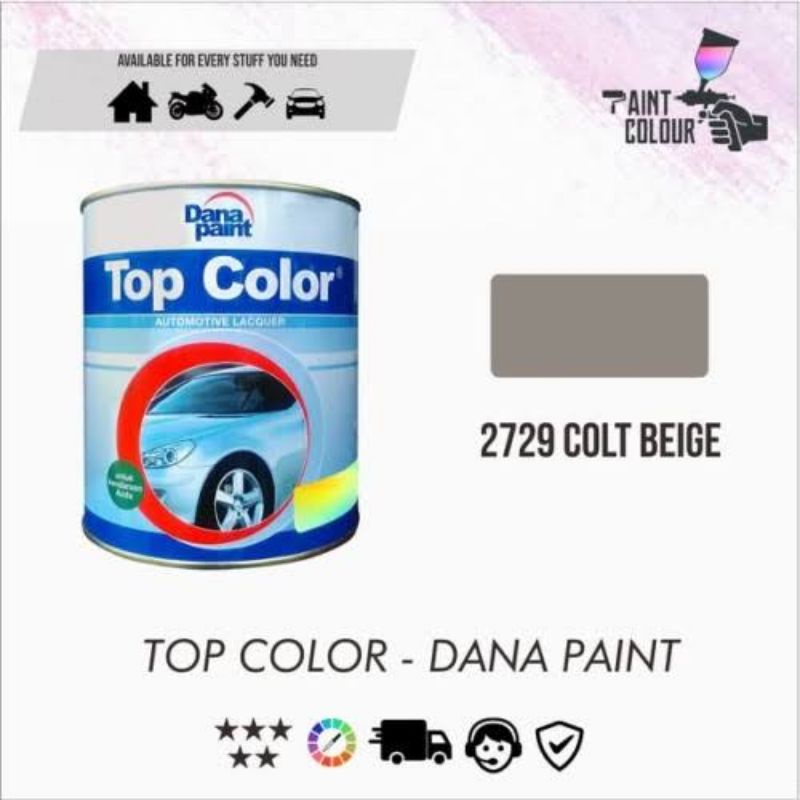 CAT TOP COLOR Cold Beige 2729 Cat Abu abu Solid ( Terang)  Cat Mobil Kayu Besi Duco
