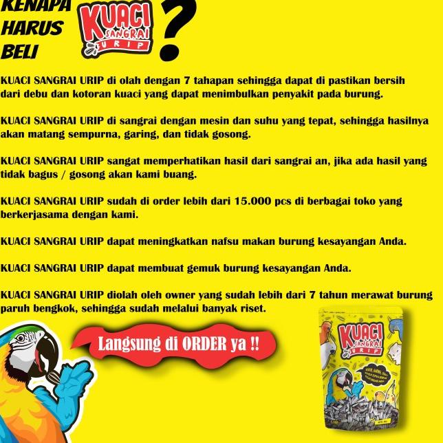 KUACI SANGRAI SUPER JUMBO UNTUK BURUNG KAKATUA MACAW AFGREY AMAZON