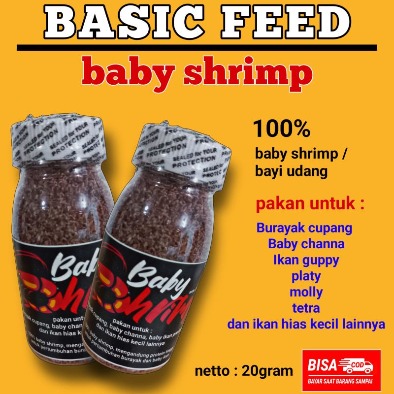 BABY SHRIMP | pakan burayak | burayak cupang , baby channa, baby predator , molly, guppy, tetra