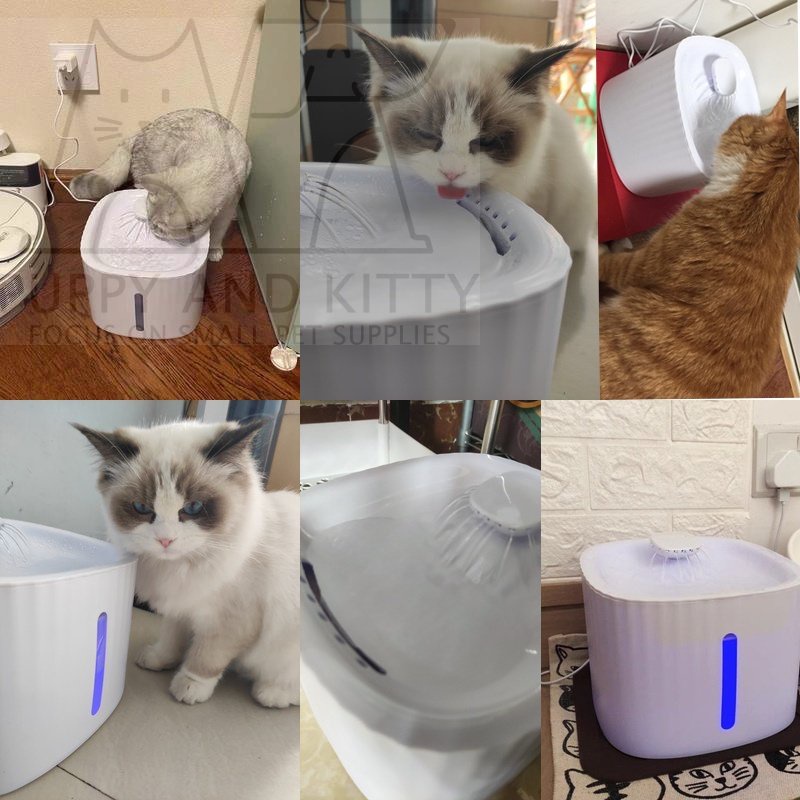 Dispenser Kucing Minum Pet Dispenser Kucing Tempat Minum Kucing Otomatis Water Dispenser Kucing 3L