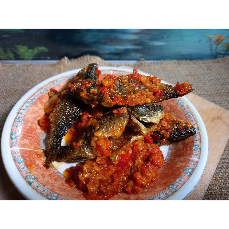 

Ikan Mas Balita Balado