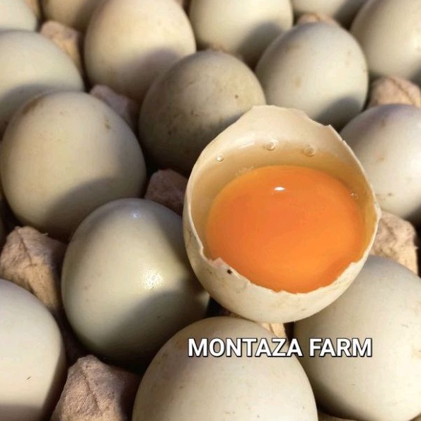 

Telur bebek mentah fresh telor omega montaza farm Bandung Warna Orange Manik merah