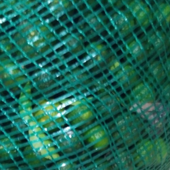 

JERUK SAMBEL JERUK LIMAU 250 GRAM