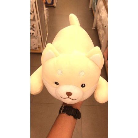 Miniso Lying Shiba Series Plush Toy
