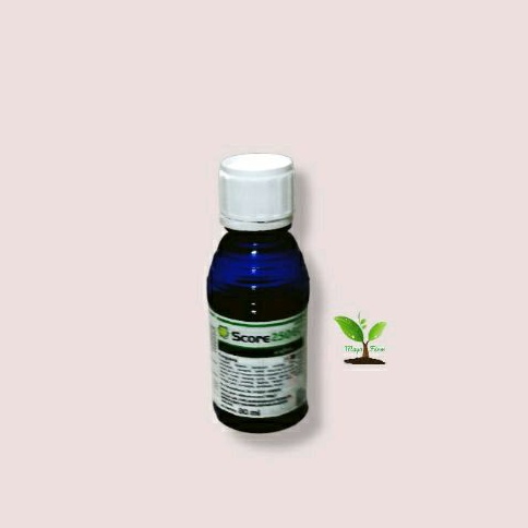 Fungisida Score 80ml