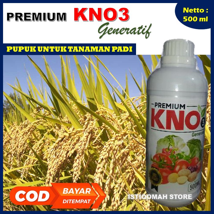 PUPUK PELEBAT PADI MURAH Premium KNO3 Generatif 500ML - Pupuk Ampuh Melebatkan Padi dan Berbobot - Pupuk Padi Agar Lebih Berat dan Banyak Hasilnya - Pupuk Pengoptimal Padi Lebih Besar dan Berat Paling AMPUH