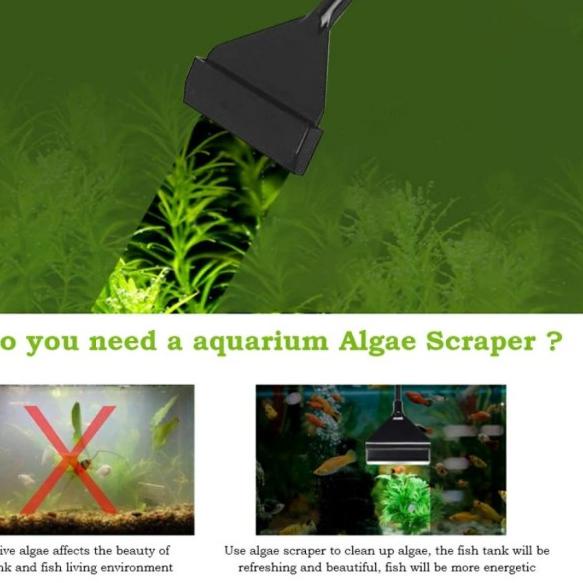 WYIN / ZRDR Aquarium Algae Scraper Pembersih Aquascape