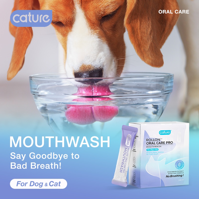 CATURE Oral Care Pro Series Mouthwash (1 SACHET = 5mL) For Cats &amp; Dogs - NO BRUSHING - Pembersih Mulut &amp; Gigi Untuk Kucing &amp; Anjing