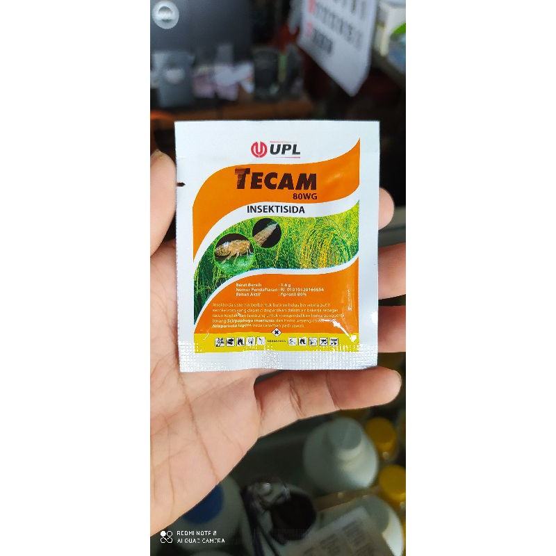 INSEKTISIDA TECAM 80WG SAMA SEPERTI REGENT 80WG 1 pack (5 SACHET) PEMBASMI HAMA PENGGEREK BATANG WER