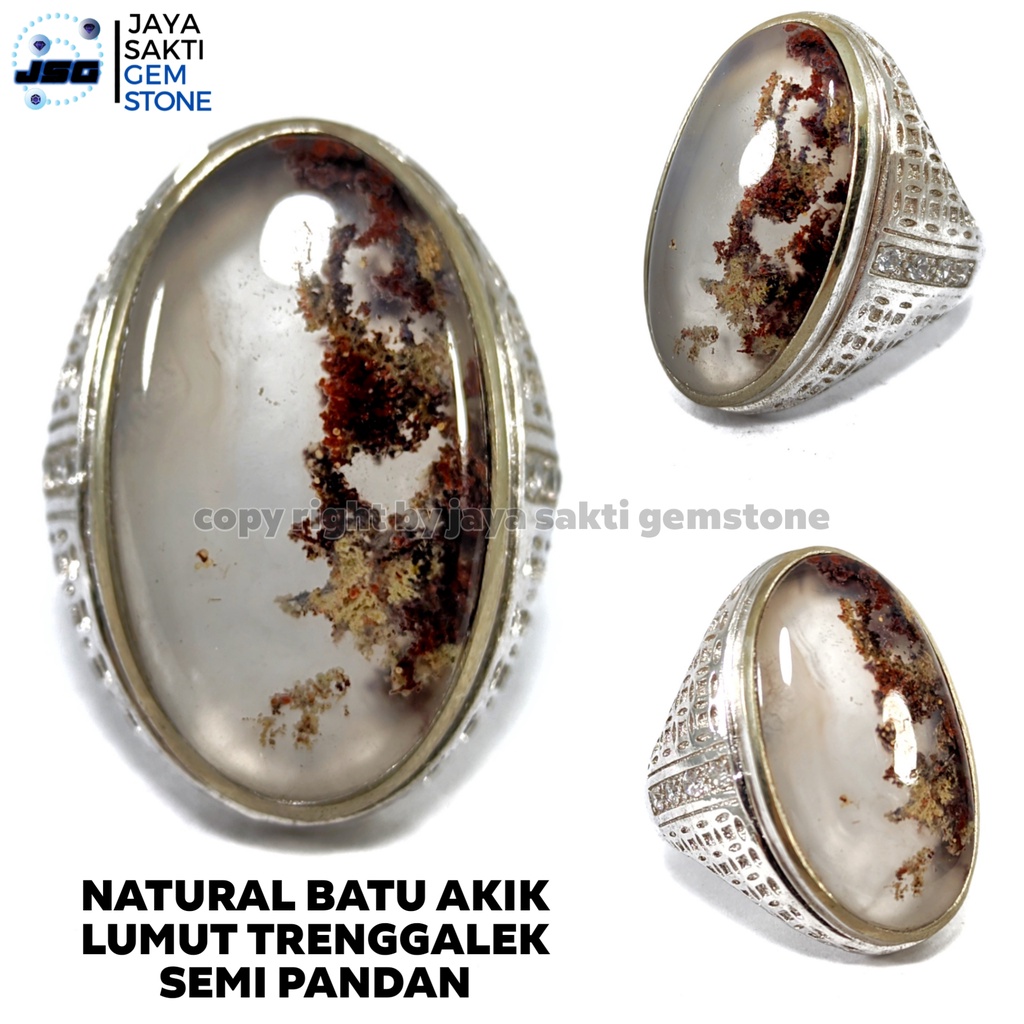 Natural Batu Akik Lumut Trenggalek Semi Pandan LT16