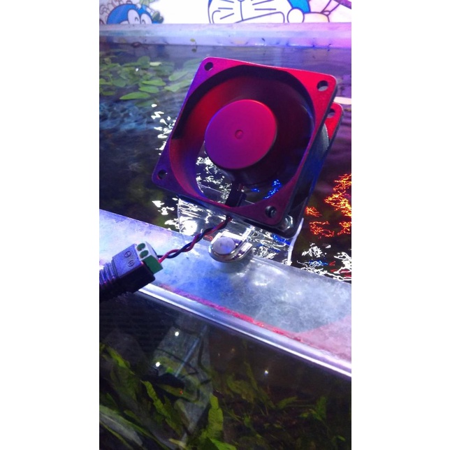 Aquascape & air laut fan mini speed