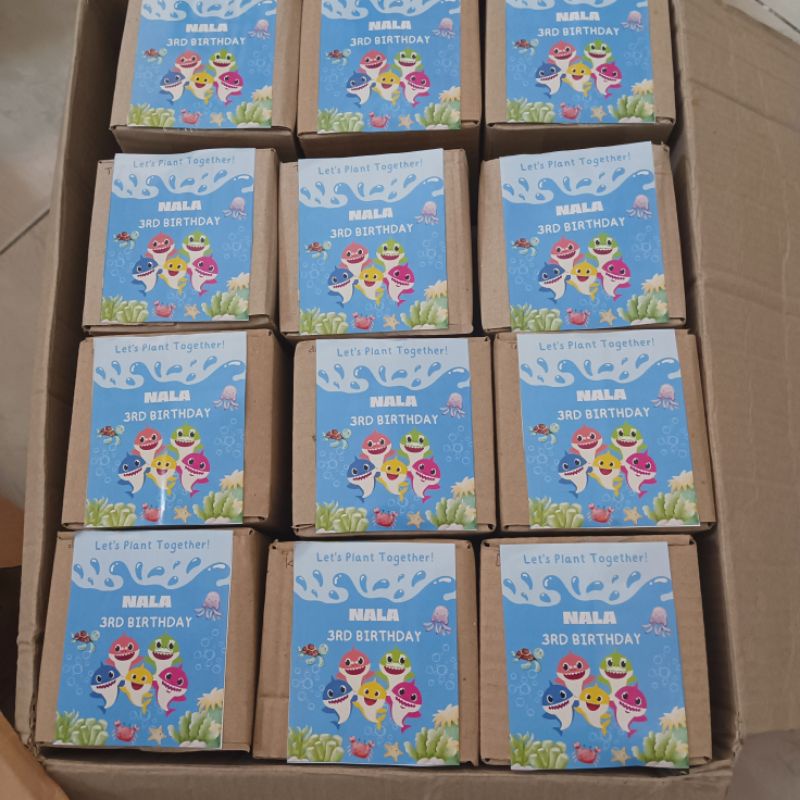 Berkebun Bertanam DIY Rumput Kucing Paket Siap Tanam Wheat Grass