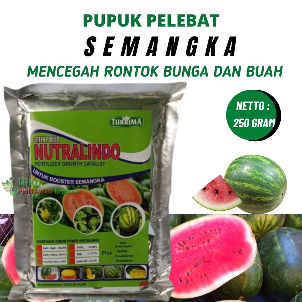 Pupuk booster organik semangka inul, Nutrisi untuk buah semangka non biji, NUTRALINDO semangka amara